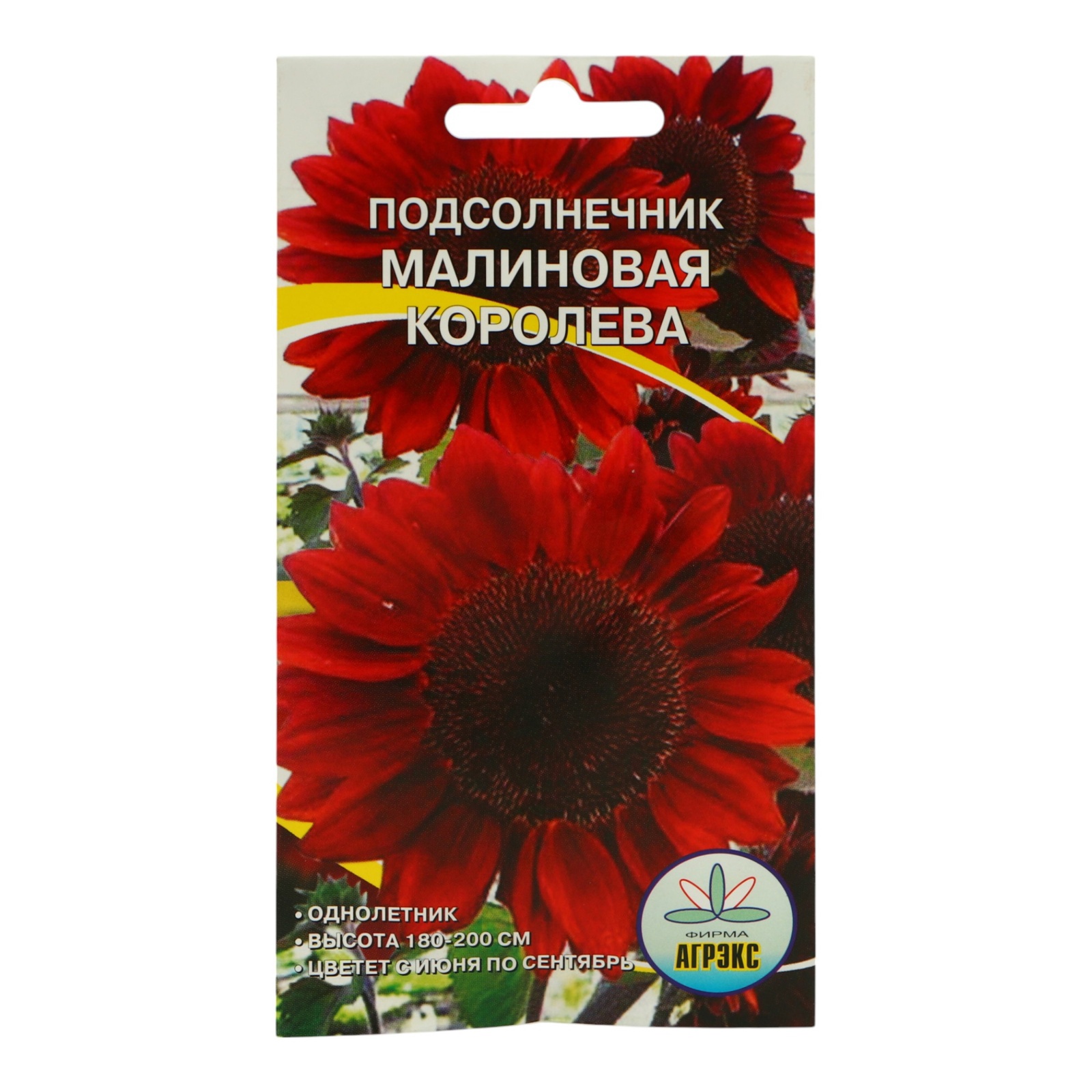 Семена цветов подсолнечник «Малиновая королева»