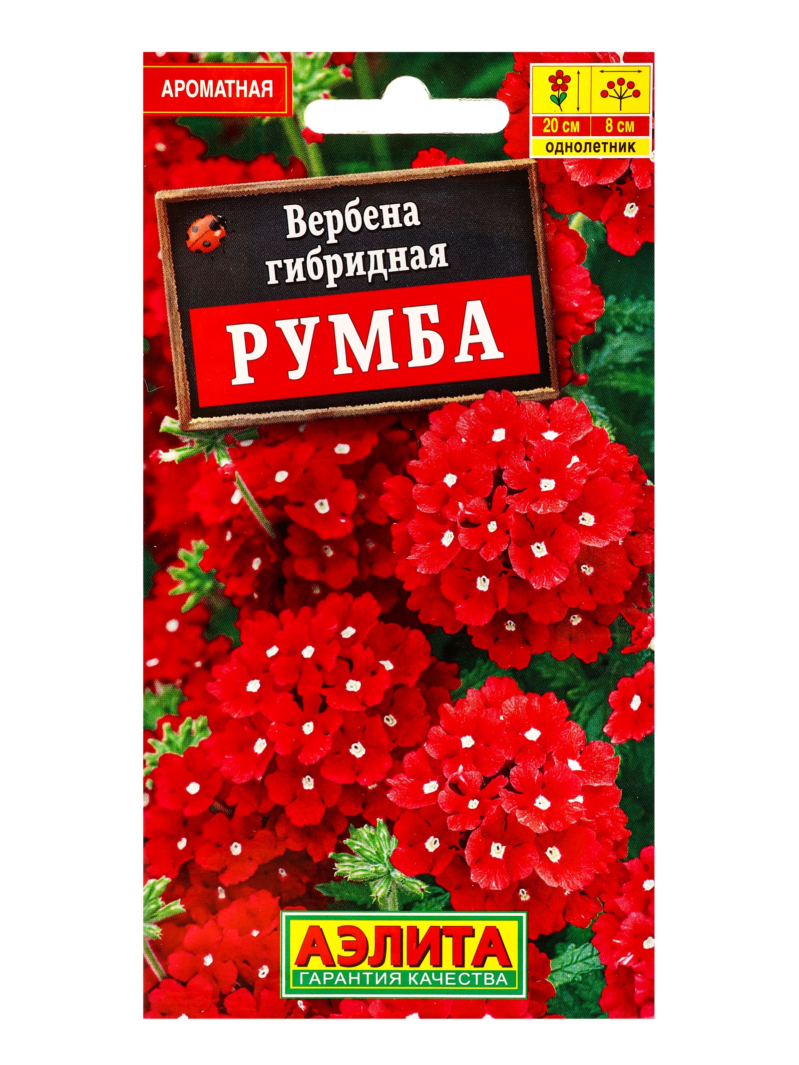 Семена цветов Вербена Румба 0,05 г 
