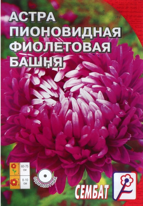 Семена цветов Астра пионовидная "Фиолетовая Башня",  0.2 г