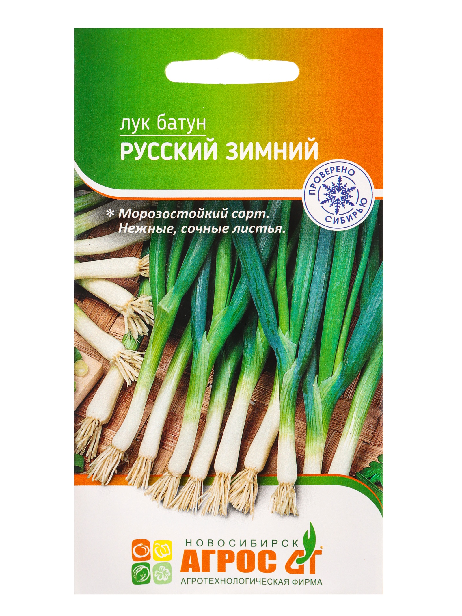Семена Лук батун «Русский зимний», 1 г, «Агрос»