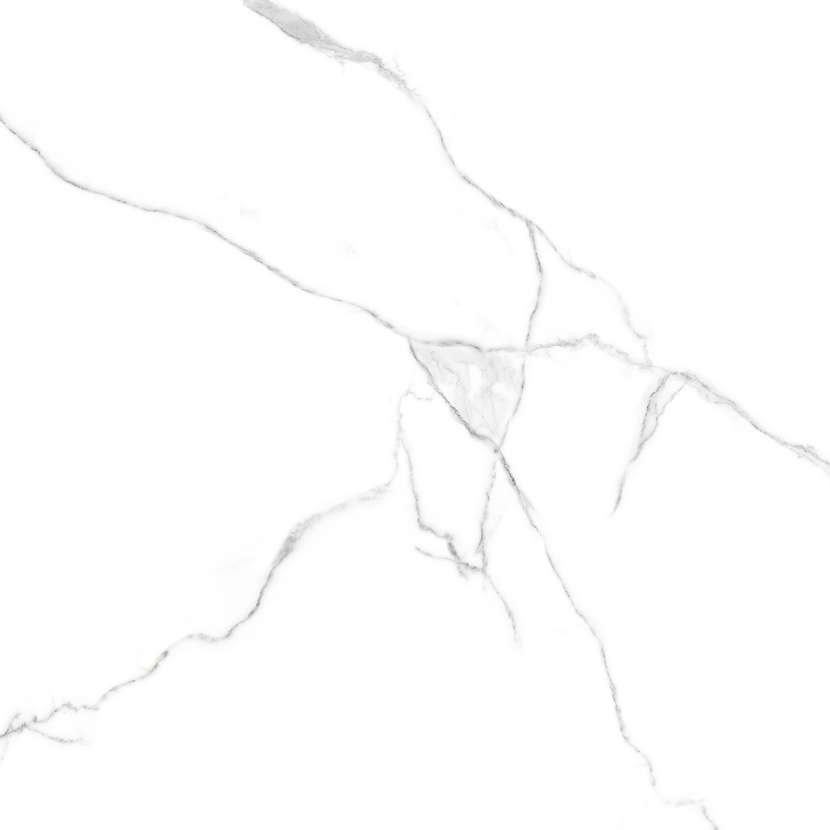 Керамогранит R 60х60 BIANCO VENATINO