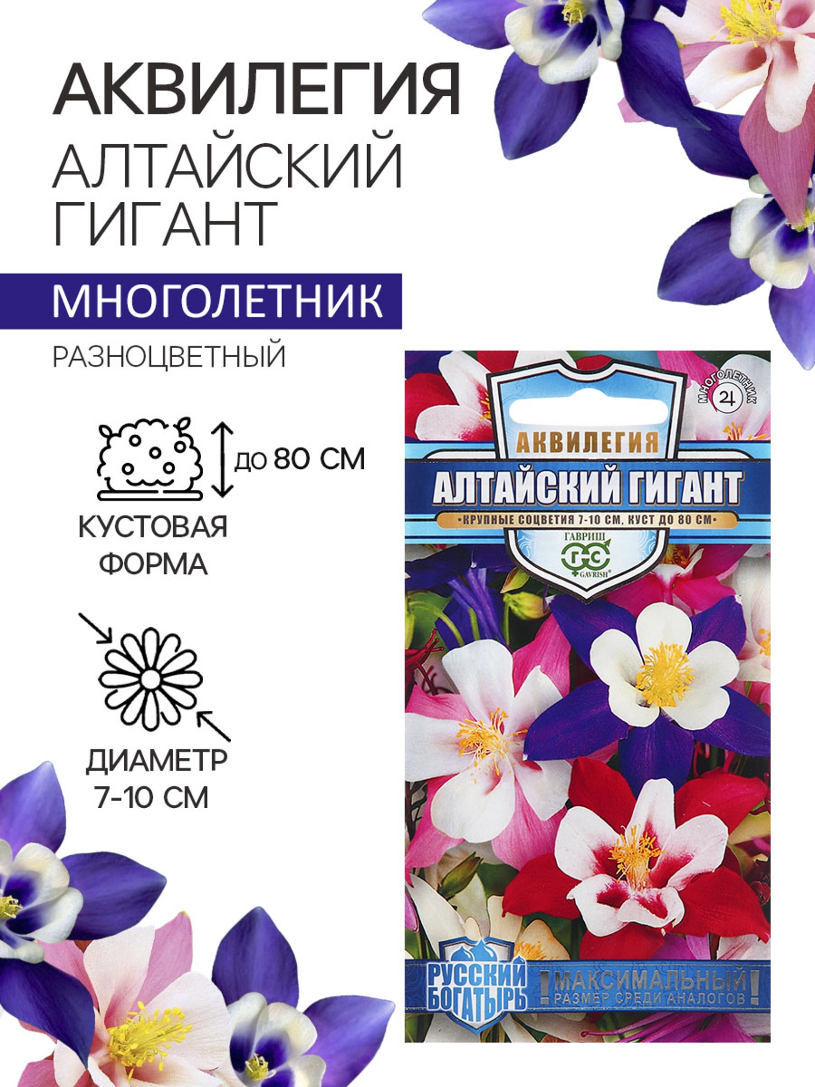 Семена аквилегия «Алтайский гигант», 0.05 г