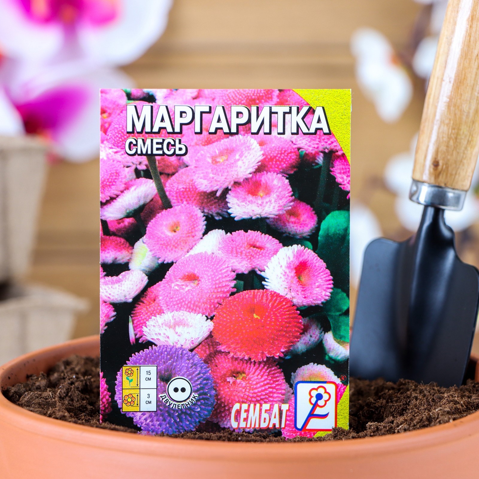 Семена цветов «Маргаритка», смесь, двулетник