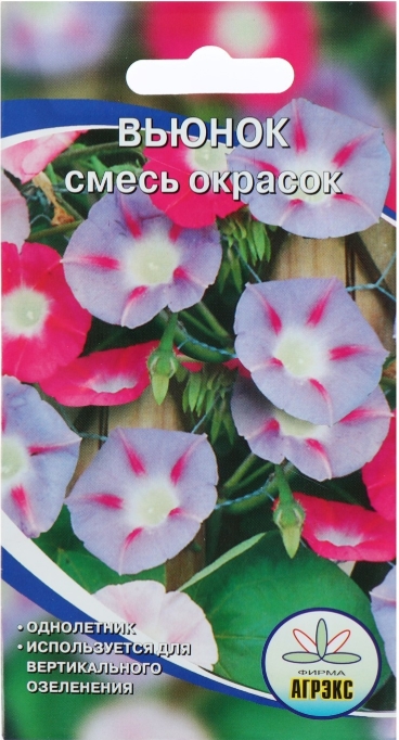 Семена цветов Вьюнок смесь