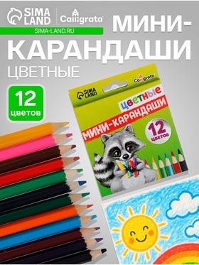 Карандаши Calligrata, цветные, 12 цветов