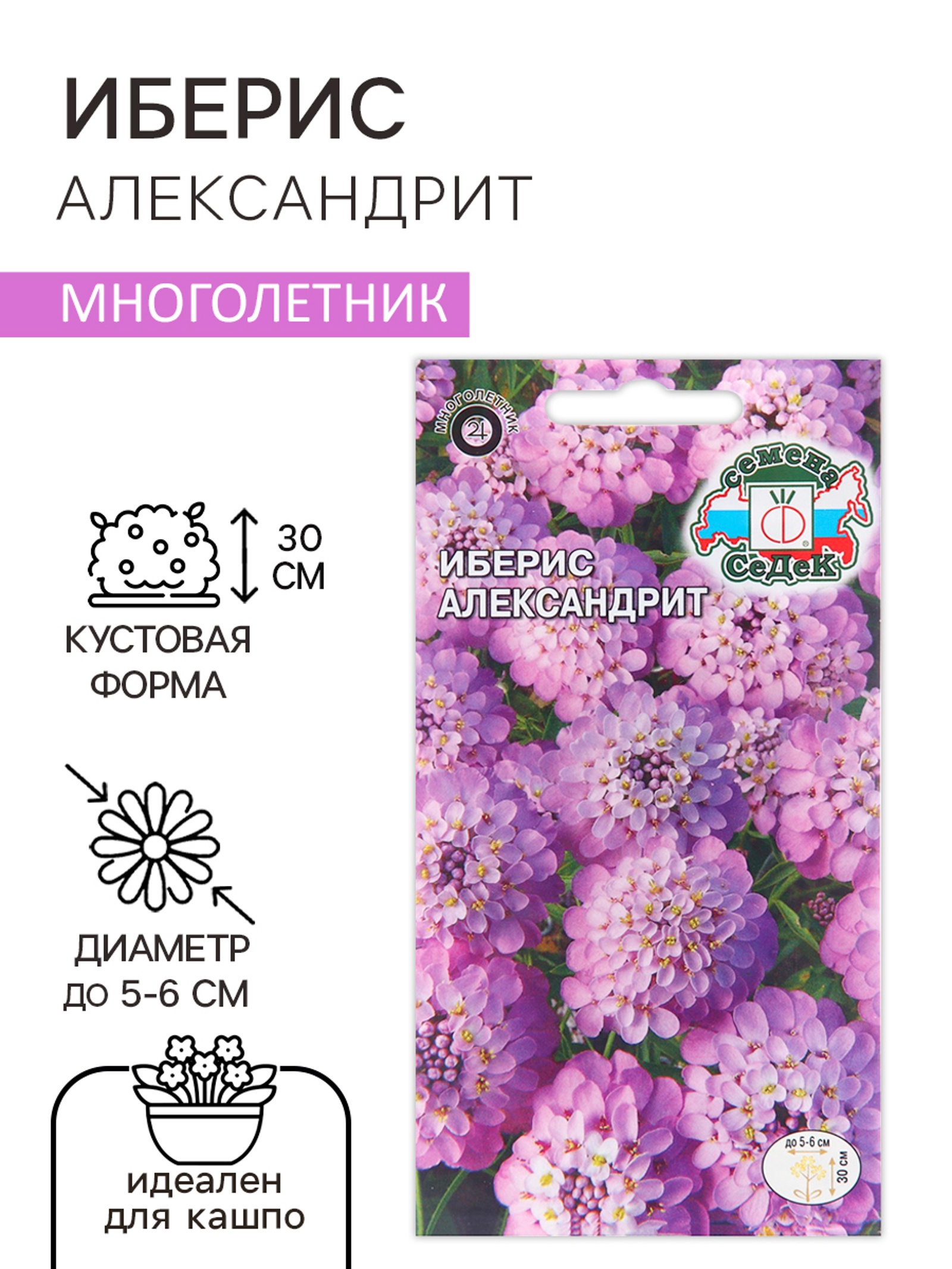 Семена цветов Иберис "Александрит", Евро, 0,1 г 